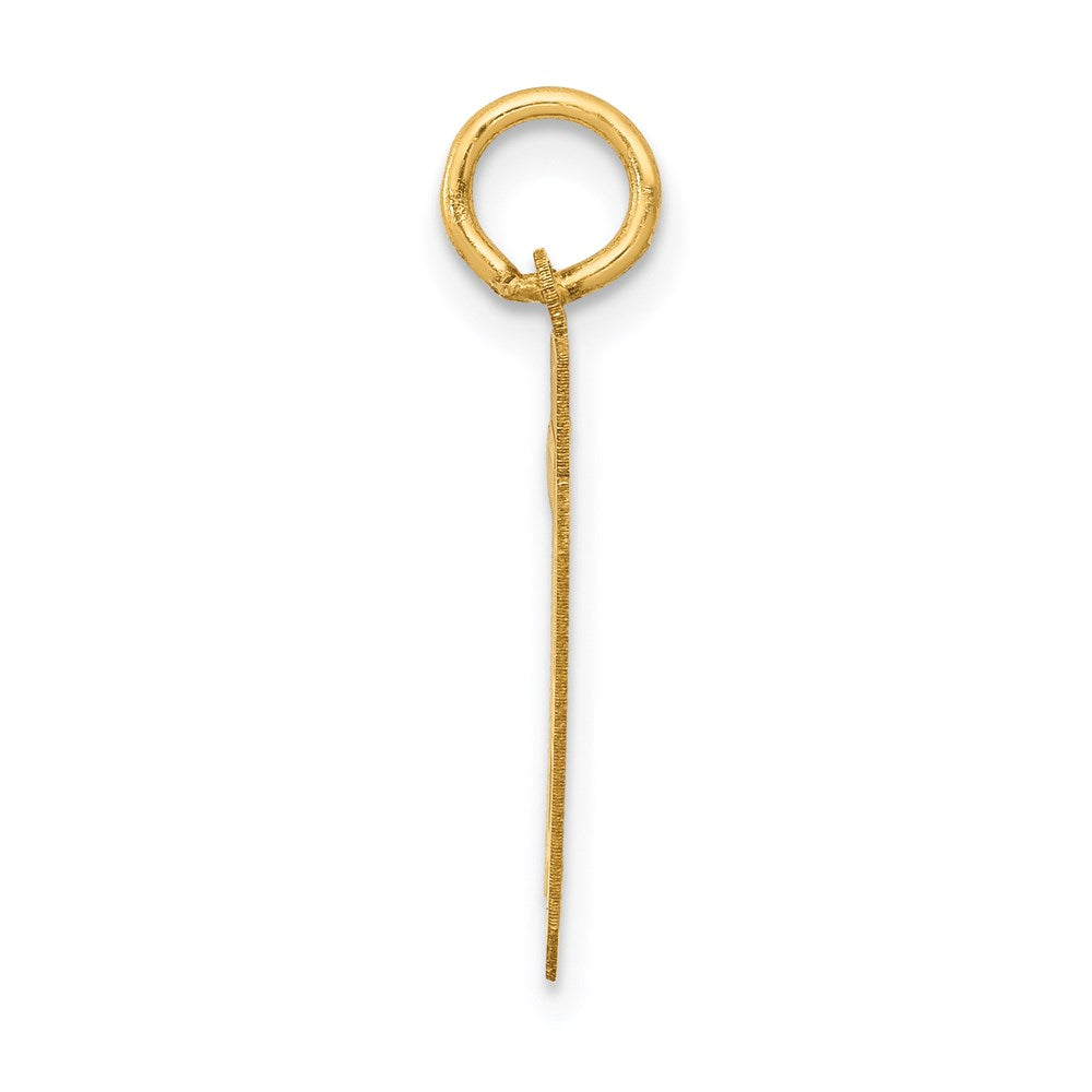 14k Small Satin Number 79 Charm