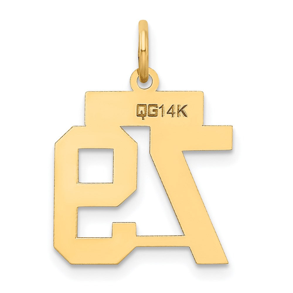 14k Small Satin Number 79 Charm