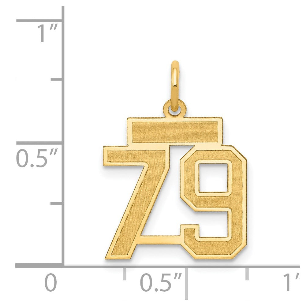 14k Small Satin Number 79 Charm