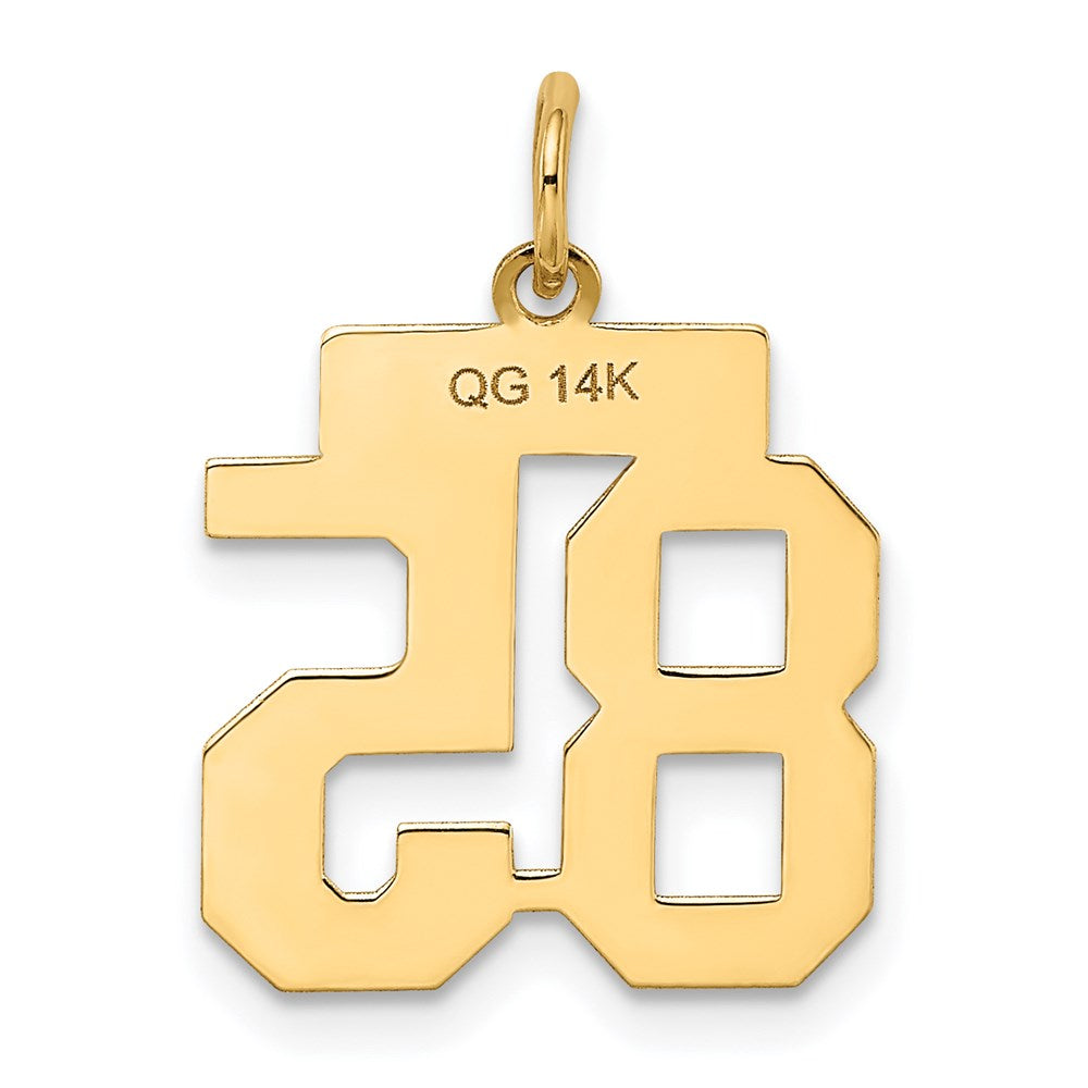 14k Small Satin Number 85 Charm