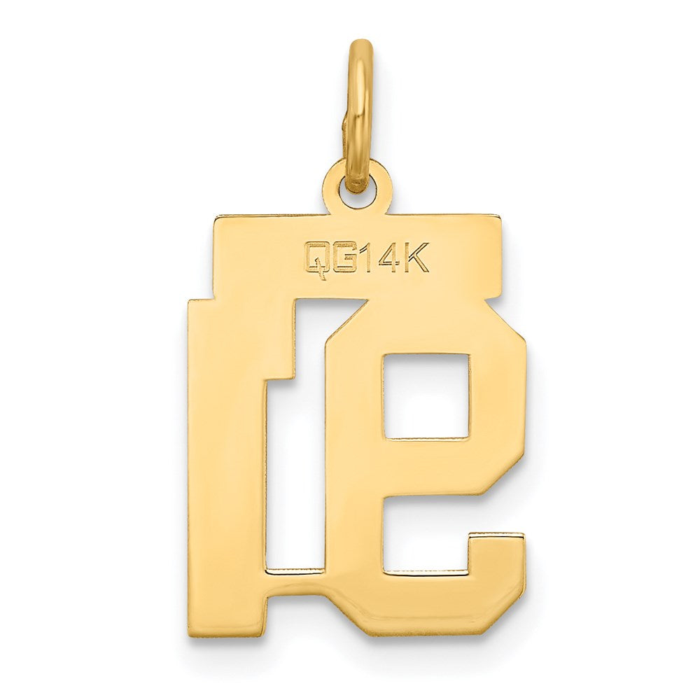 14k Small Satin Number 91 Charm