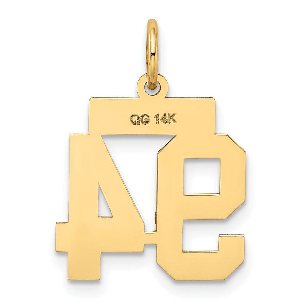14k Small Satin Number 94 Charm