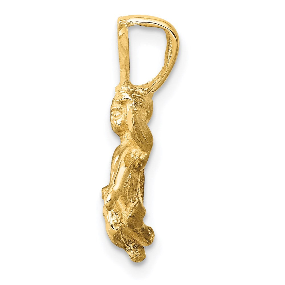 14k 3D Satin and Diamond-Cut Angel Charm