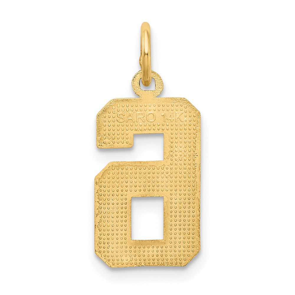 14k Medium Diamond-cut Number 6 Charm