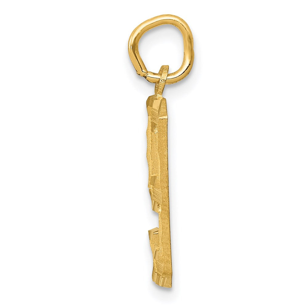 14k Medium Diamond-cut Number 9 Charm