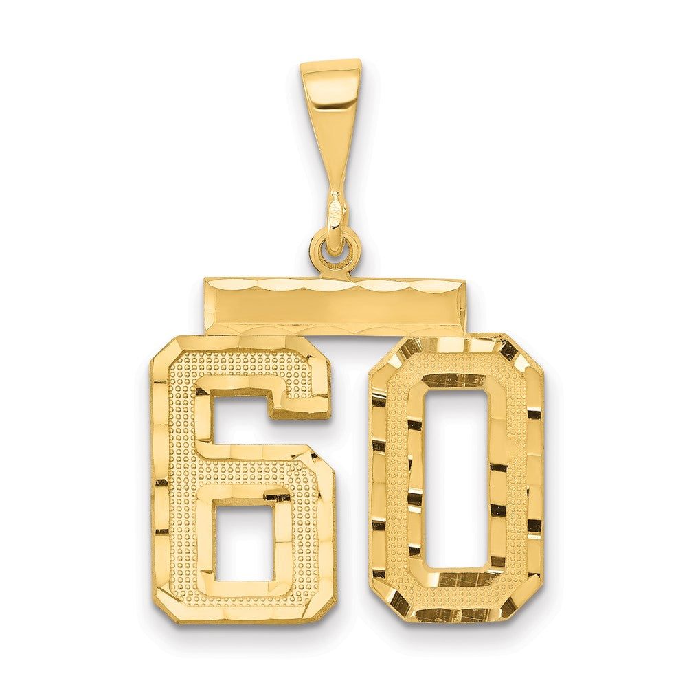 14k Medium Diamond-cut Number 60 Charm
