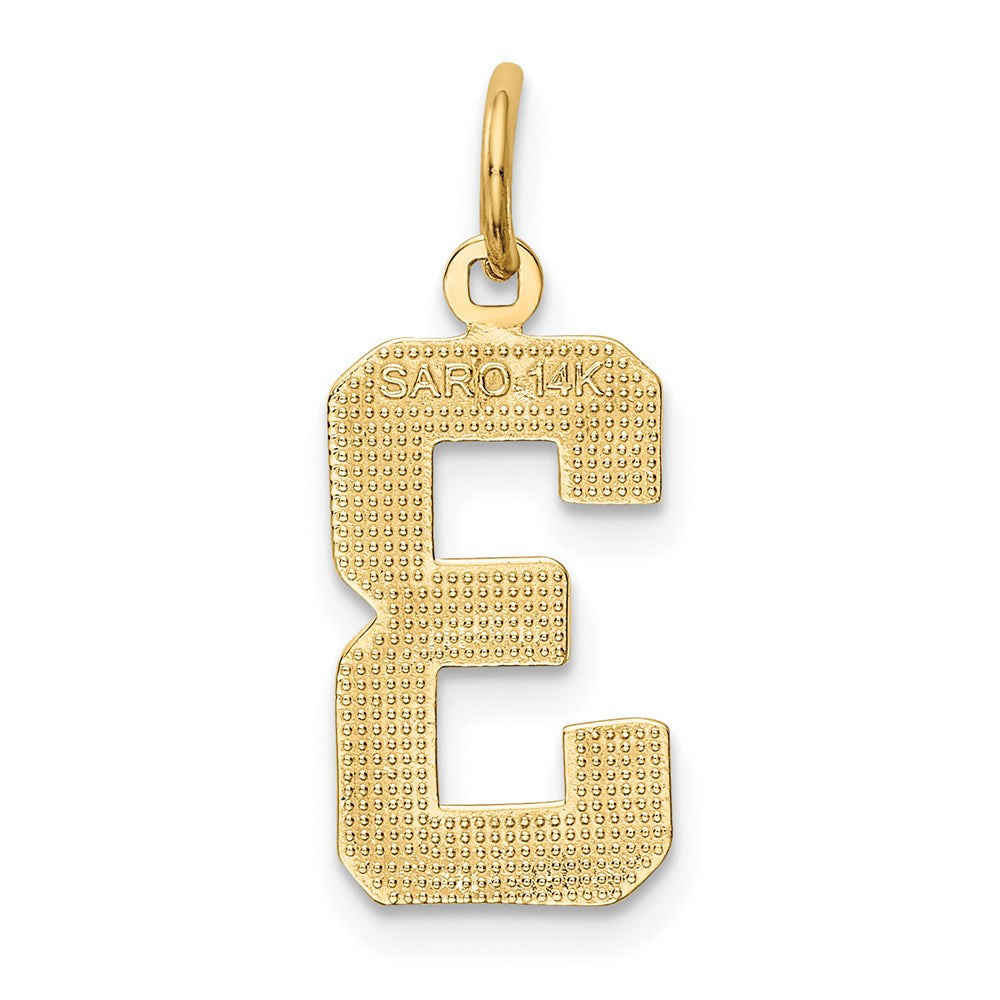 14k Medium Polished Number 3 Charm