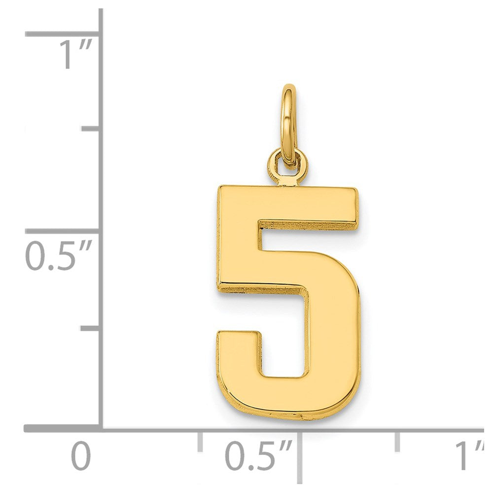 14k Medium Polished Number 5 Charm