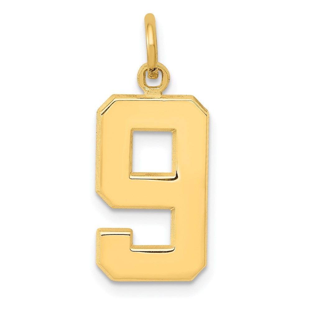 14k Medium Polished Number 9 Charm