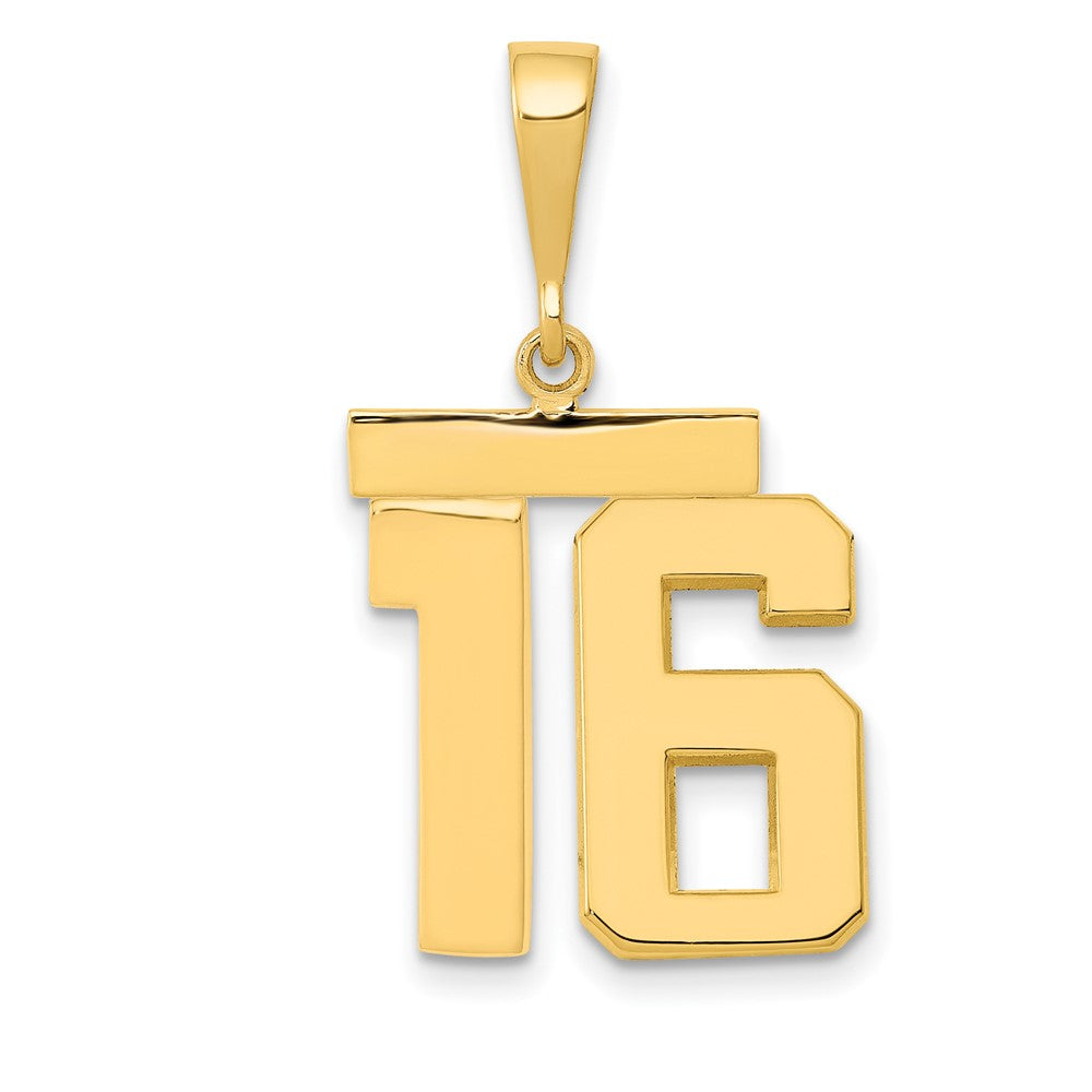 14k Medium Polished Number 16 Charm