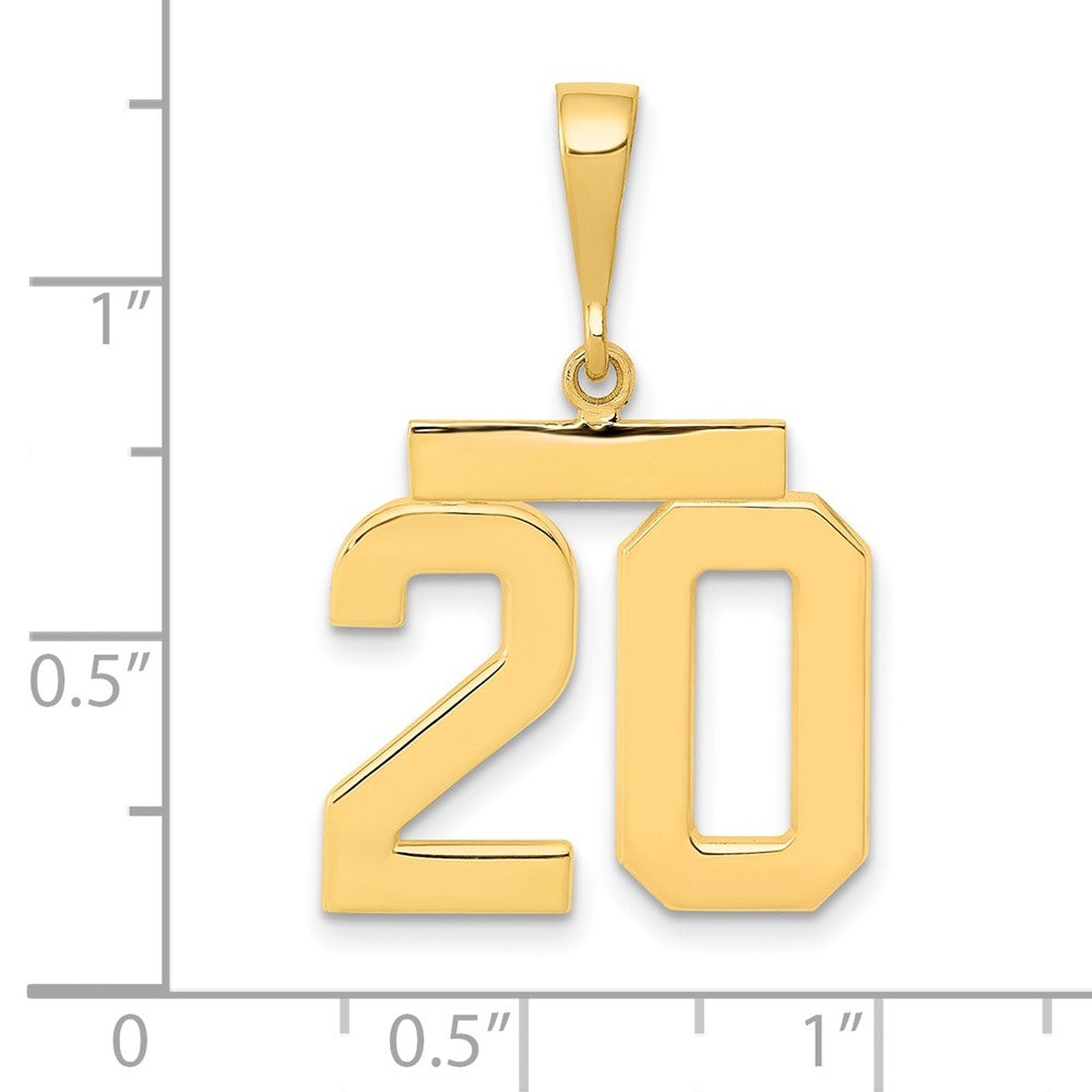 14k Medium Polished Number 20 Charm