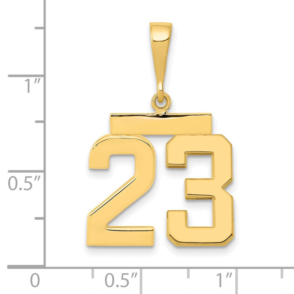 14k Medium Polished Number 23 Charm
