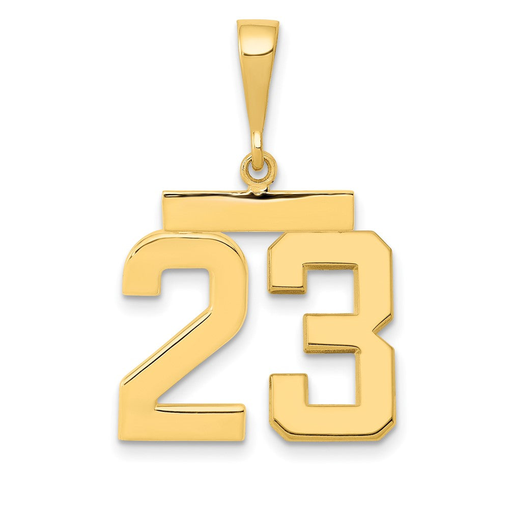 14k Medium Polished Number 23 Charm