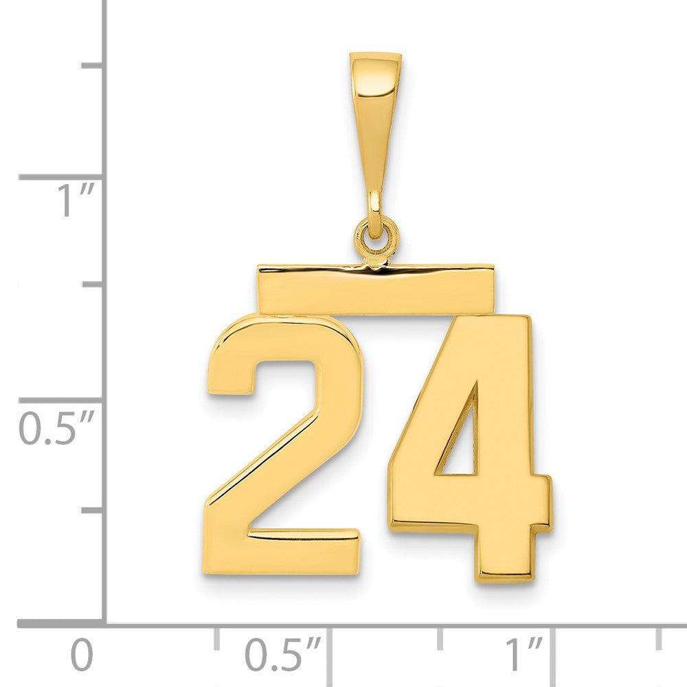 14k Medium Polished Number 24 Charm