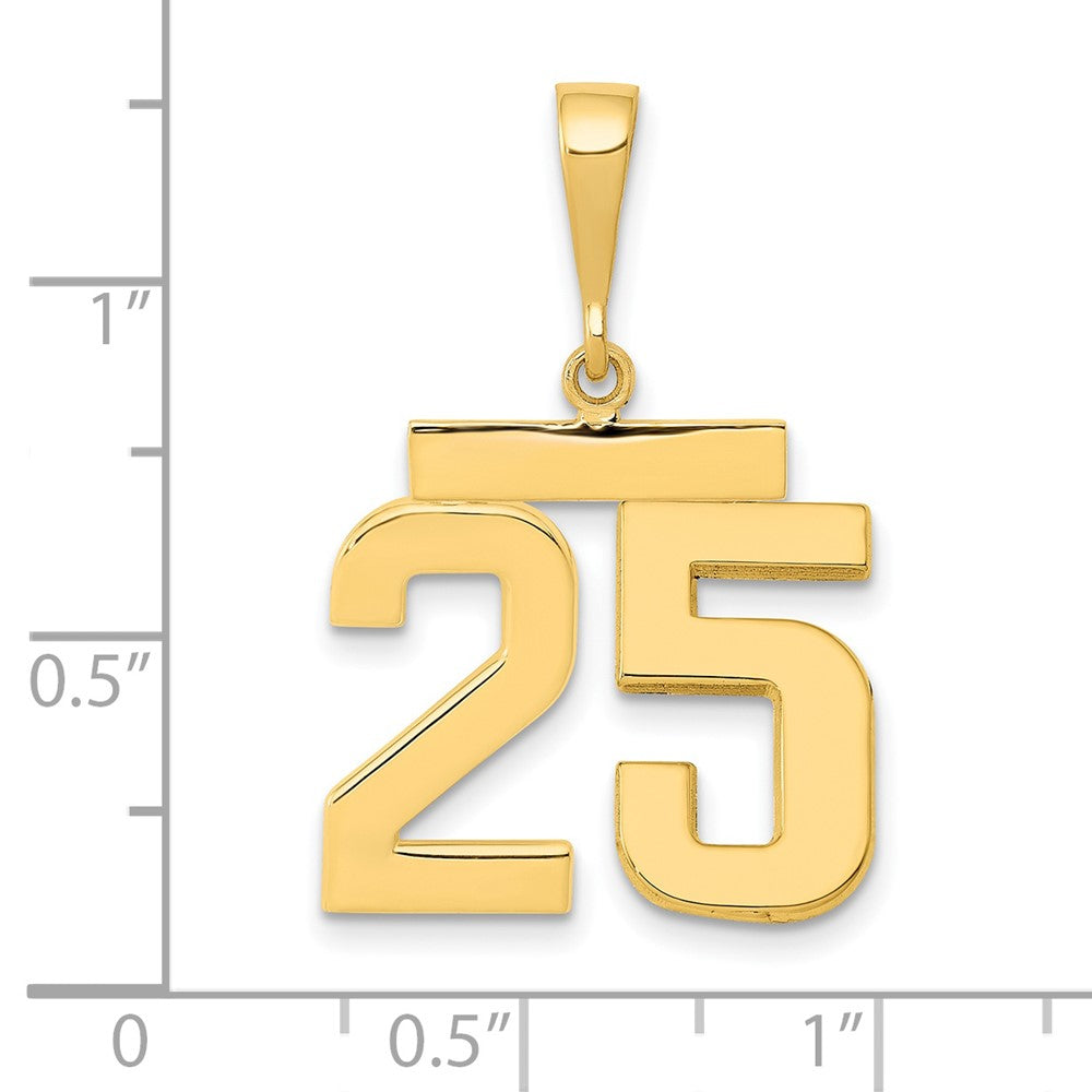 14k Medium Polished Number 25 Charm