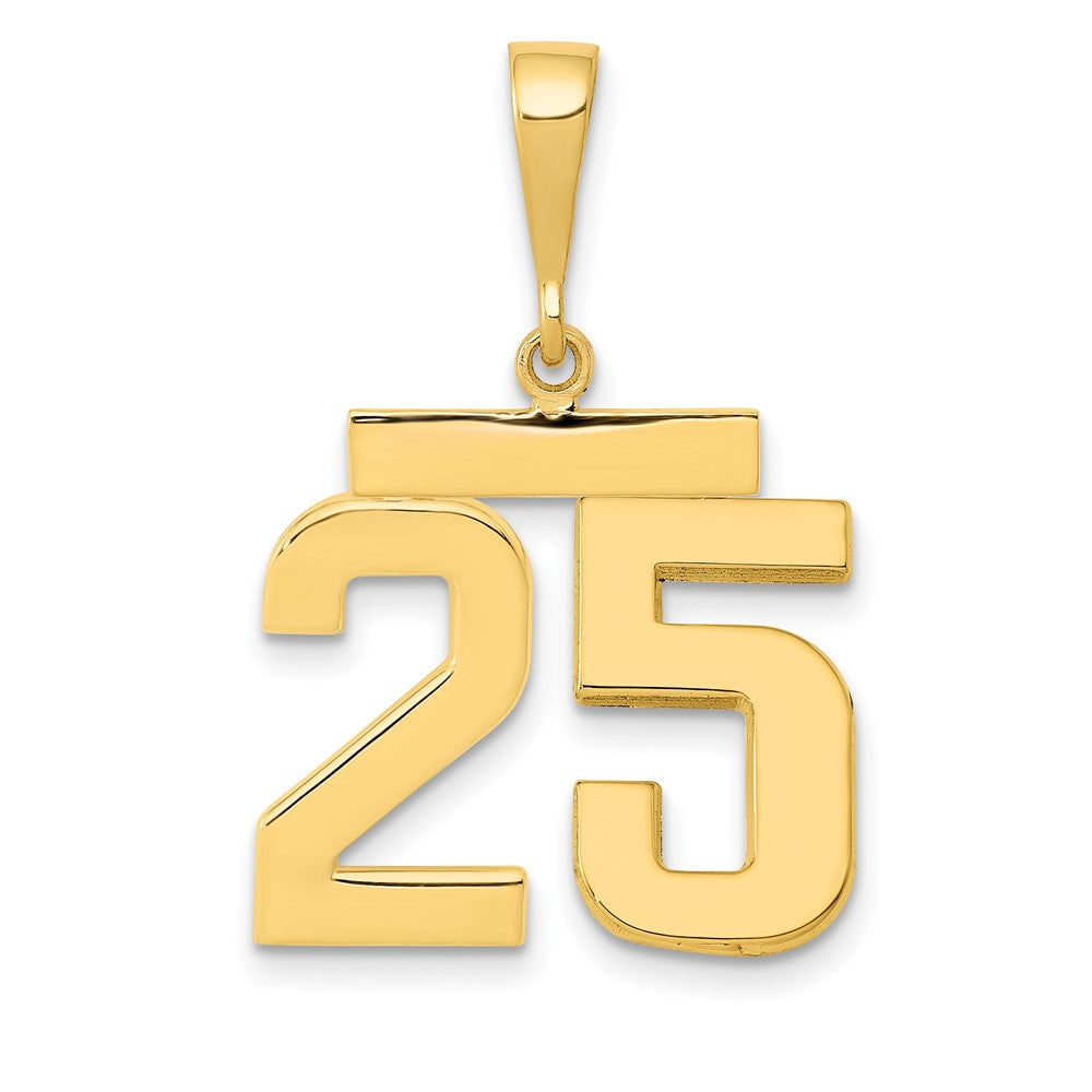 14k Medium Polished Number 25 Charm