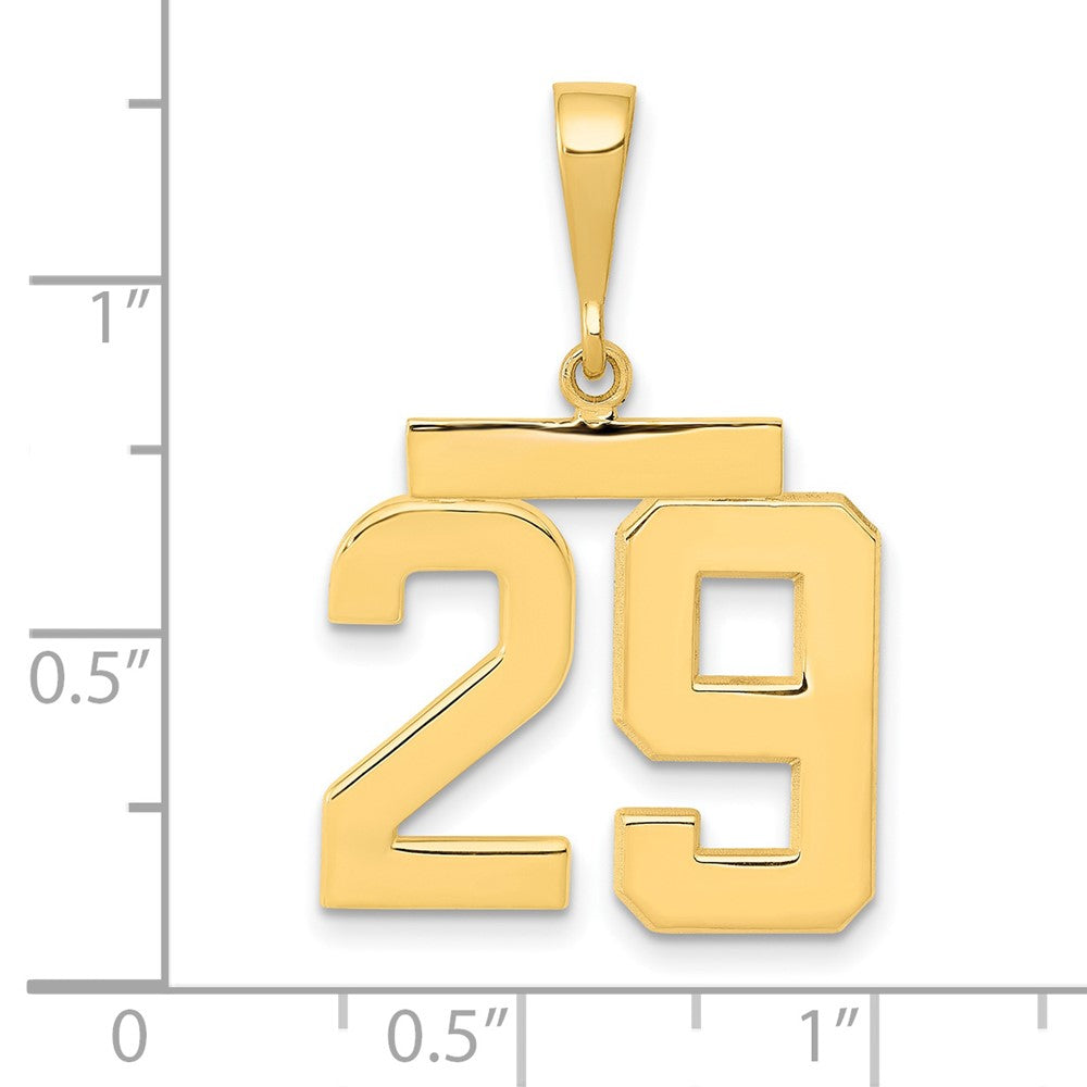 14k Medium Polished Number 29 Charm