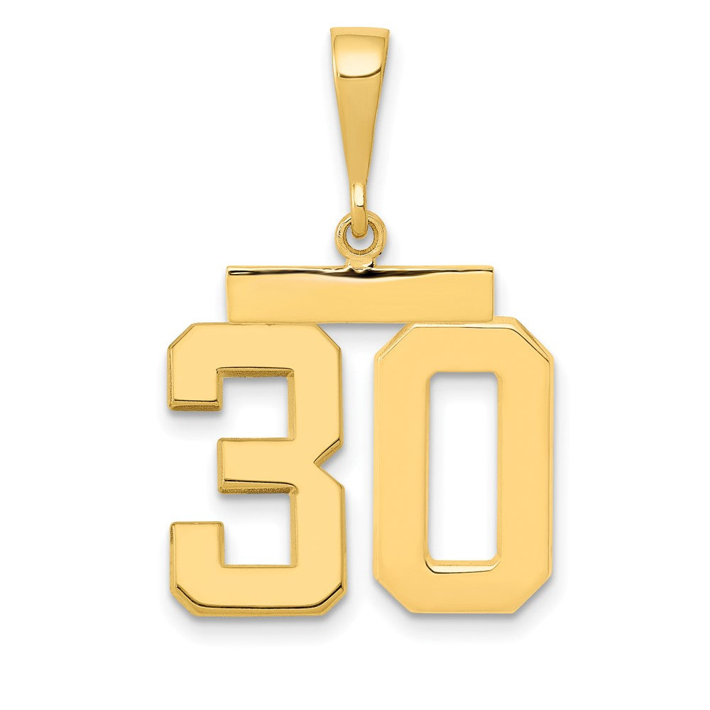 14k Medium Polished Number 30 Charm