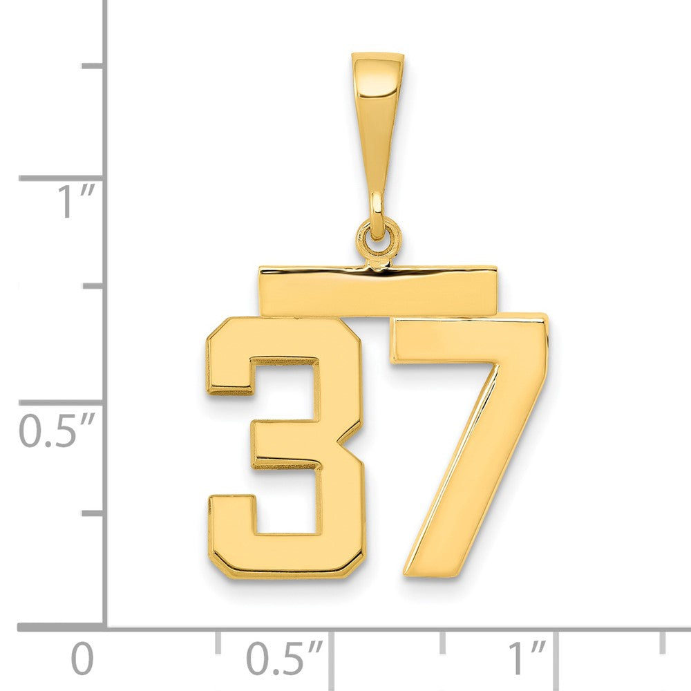 14k Medium Polished Number 37 Charm