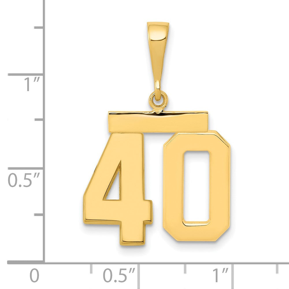 14k Medium Polished Number 40 Charm