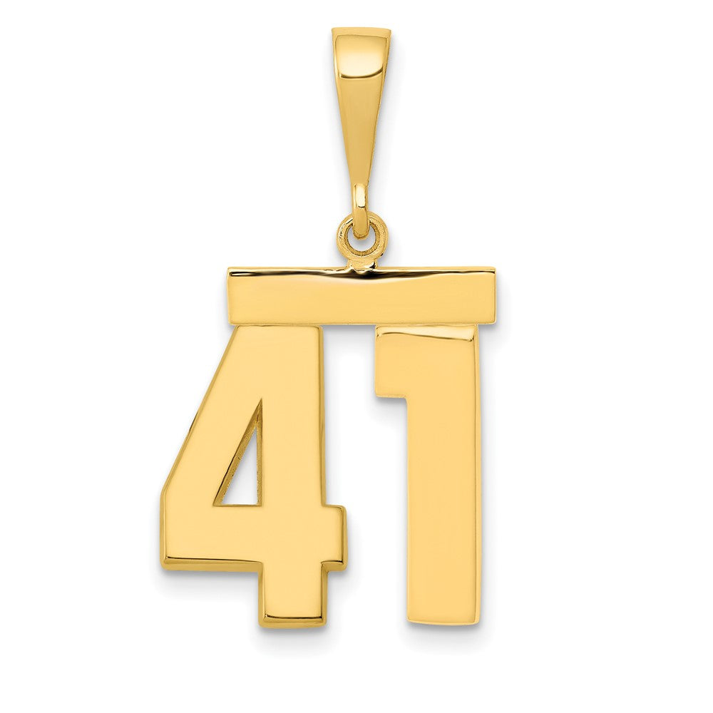 14k Medium Polished Number 41 Charm