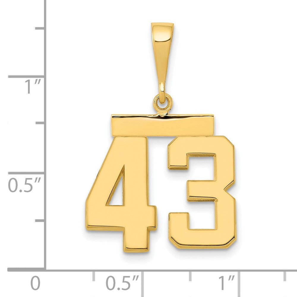 14k Medium Polished Number 43 Charm