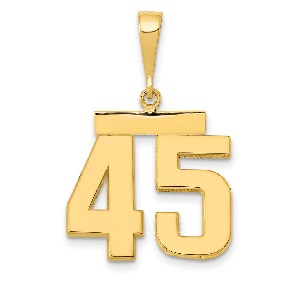 14k Medium Polished Number 45 Charm