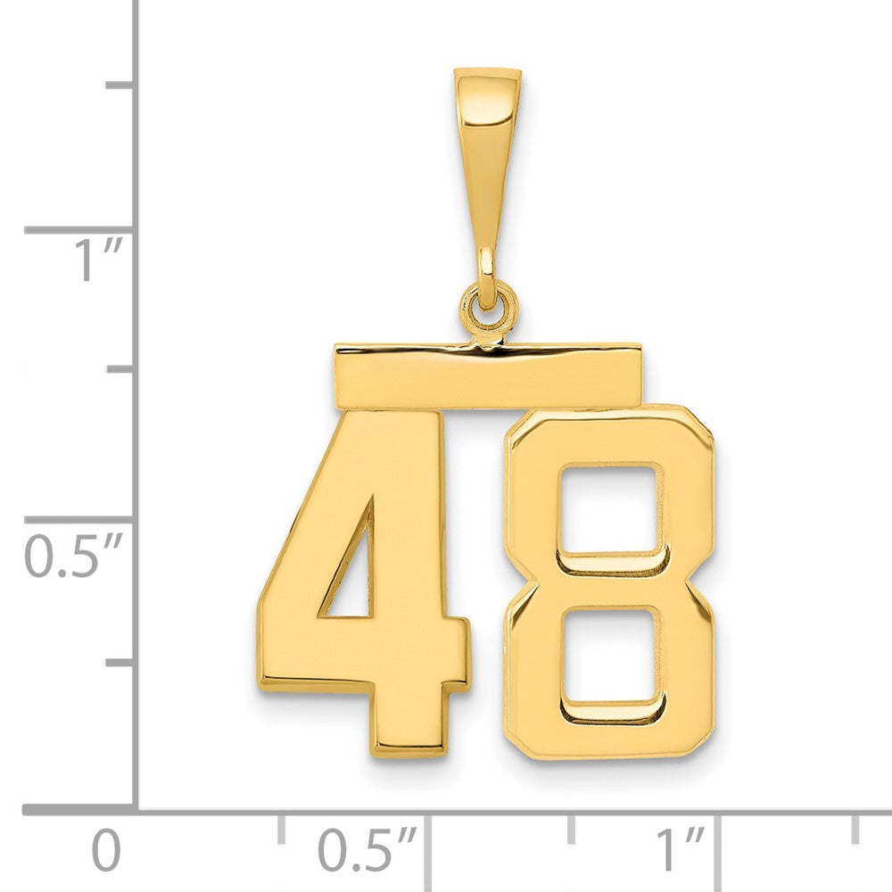 14k Medium Polished Number 48 Charm