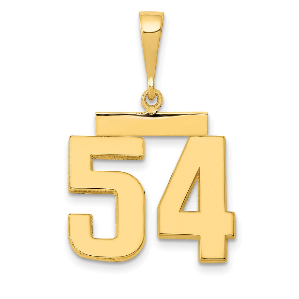 14k Medium Polished Number 54 Charm