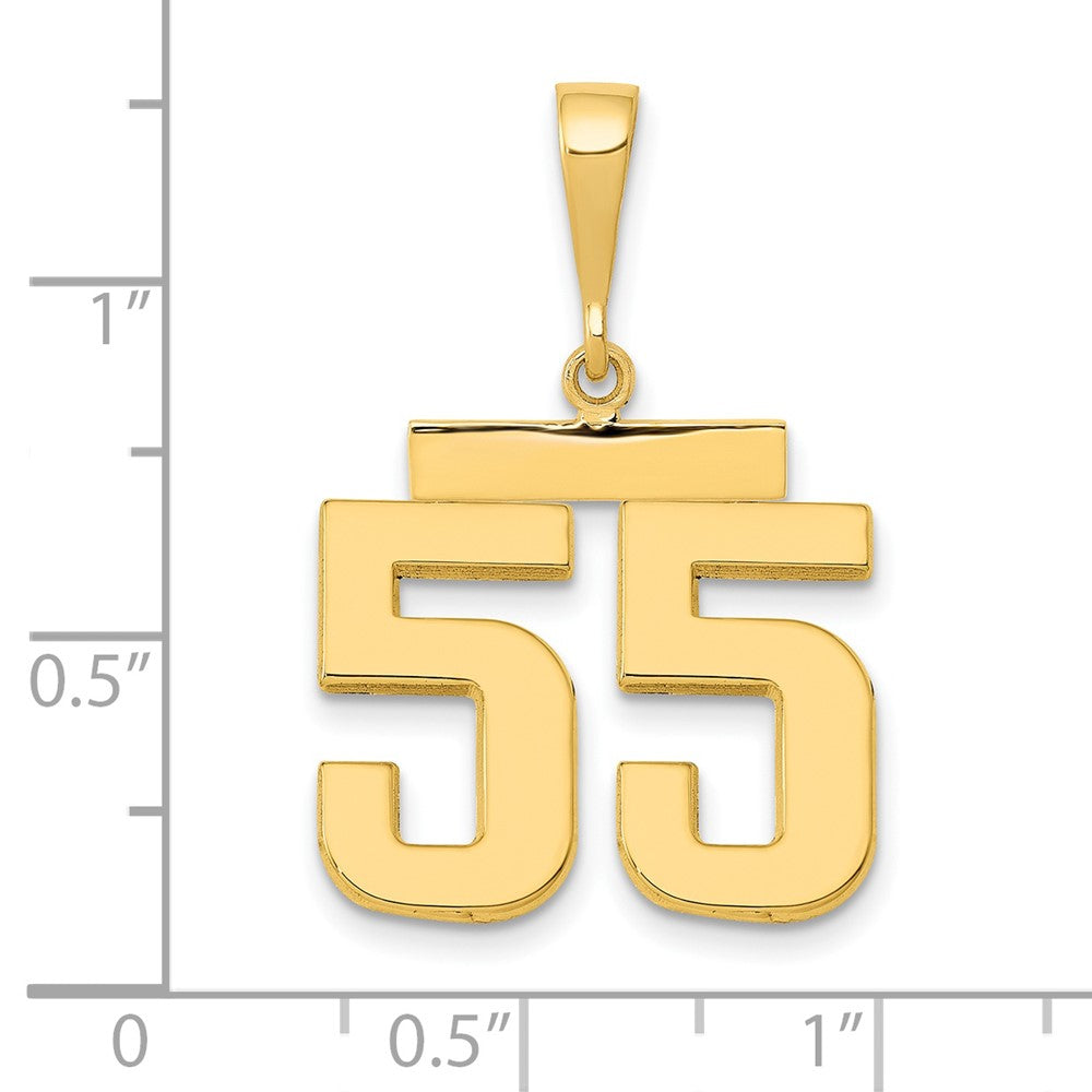14k Medium Polished Number 55 Charm