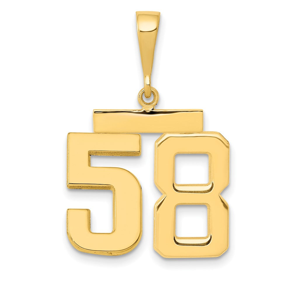 14k Medium Polished Number 58 Charm
