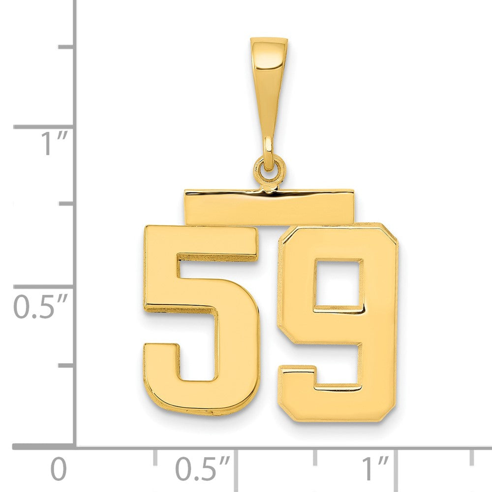 14k Medium Polished Number 59 Charm