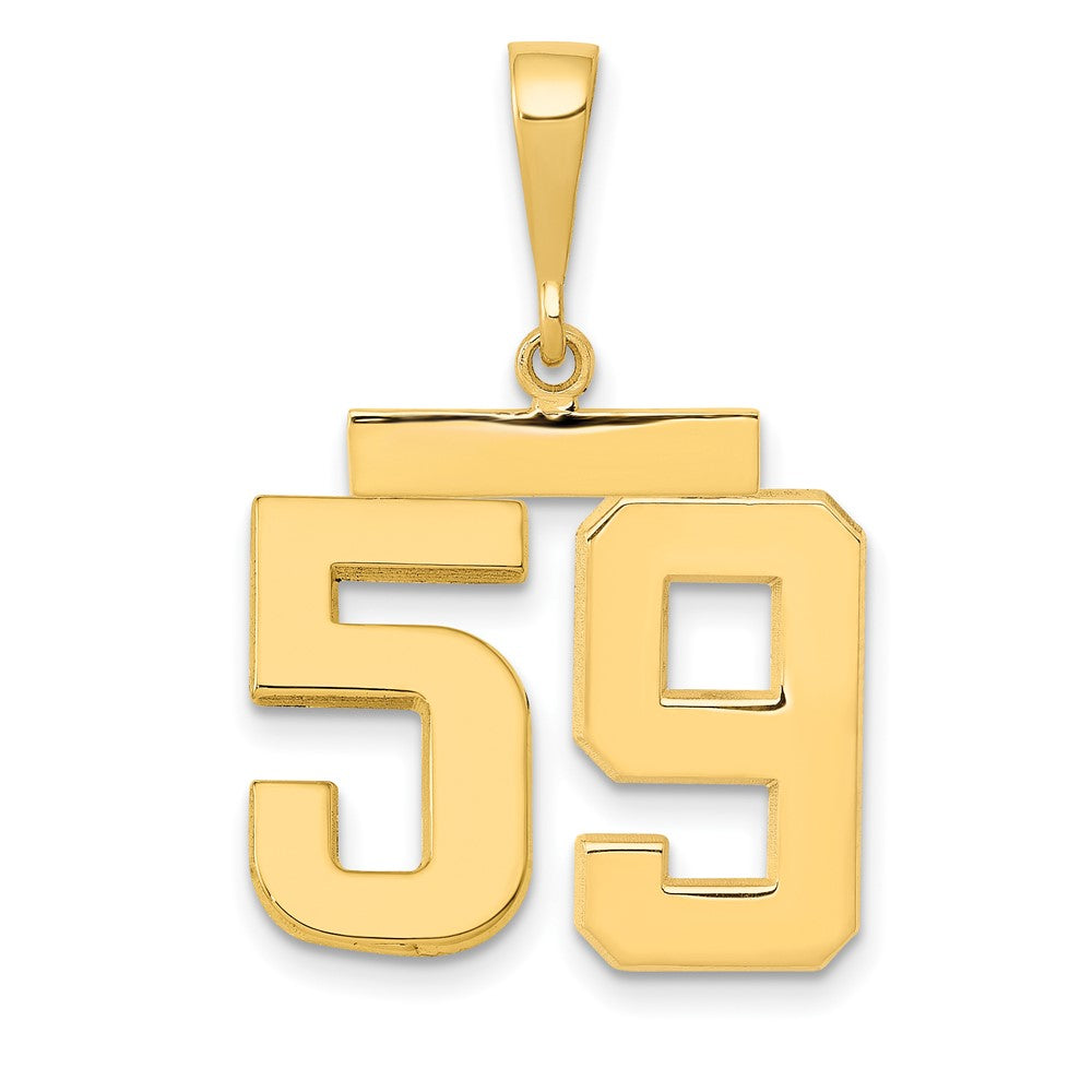 14k Medium Polished Number 59 Charm