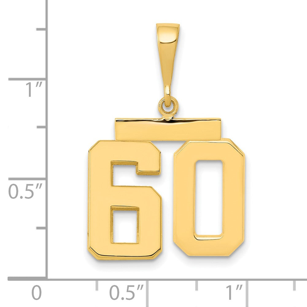 14k Medium Polished Number 60 Charm