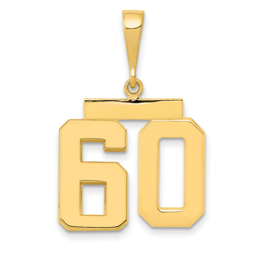 14k Medium Polished Number 60 Charm