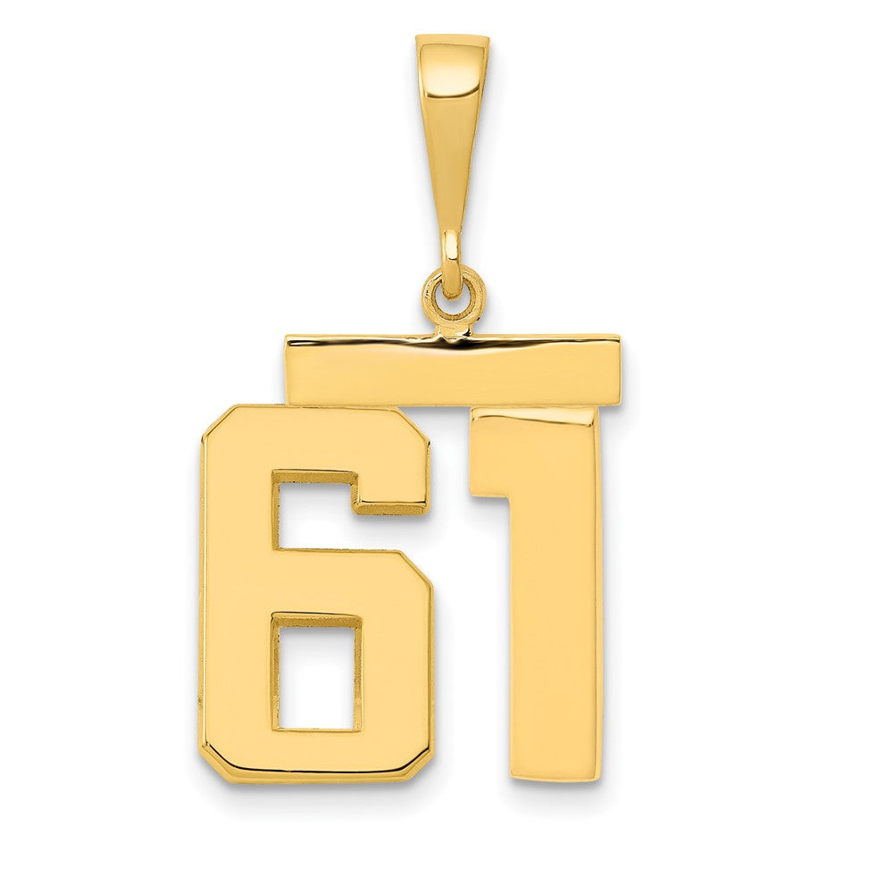 14k Medium Polished Number 61 Charm