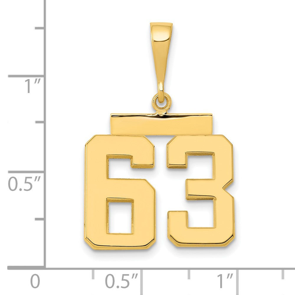 14k Medium Polished Number 63 Charm