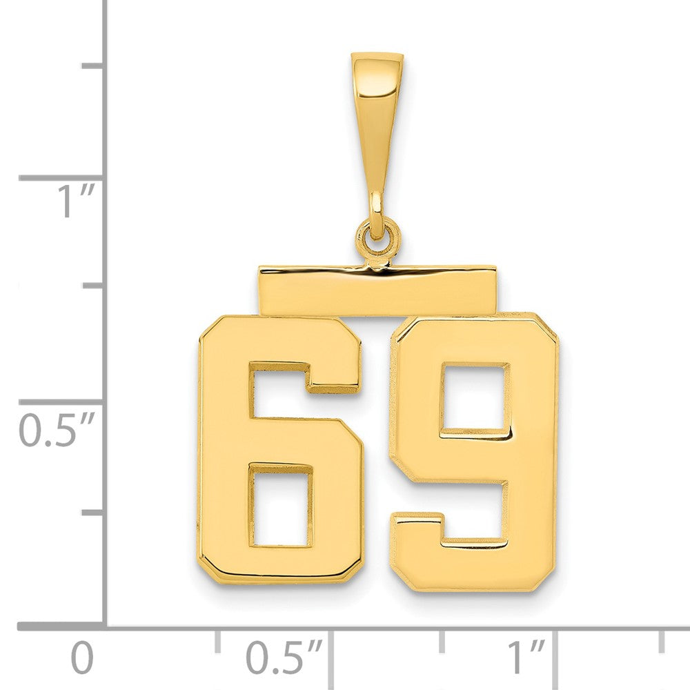 14k Medium Polished Number 69 Charm