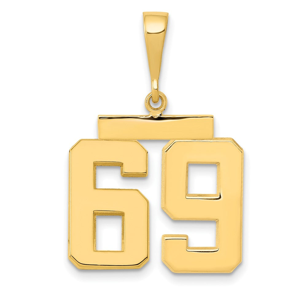 14k Medium Polished Number 69 Charm