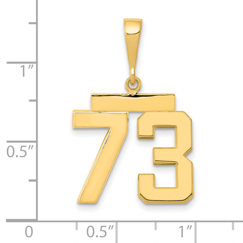 14k Medium Polished Number 73 Charm