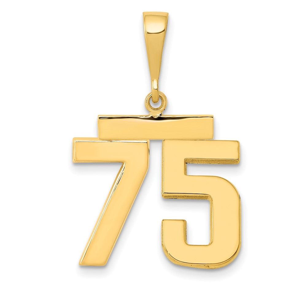 14k Medium Polished Number 75 Charm