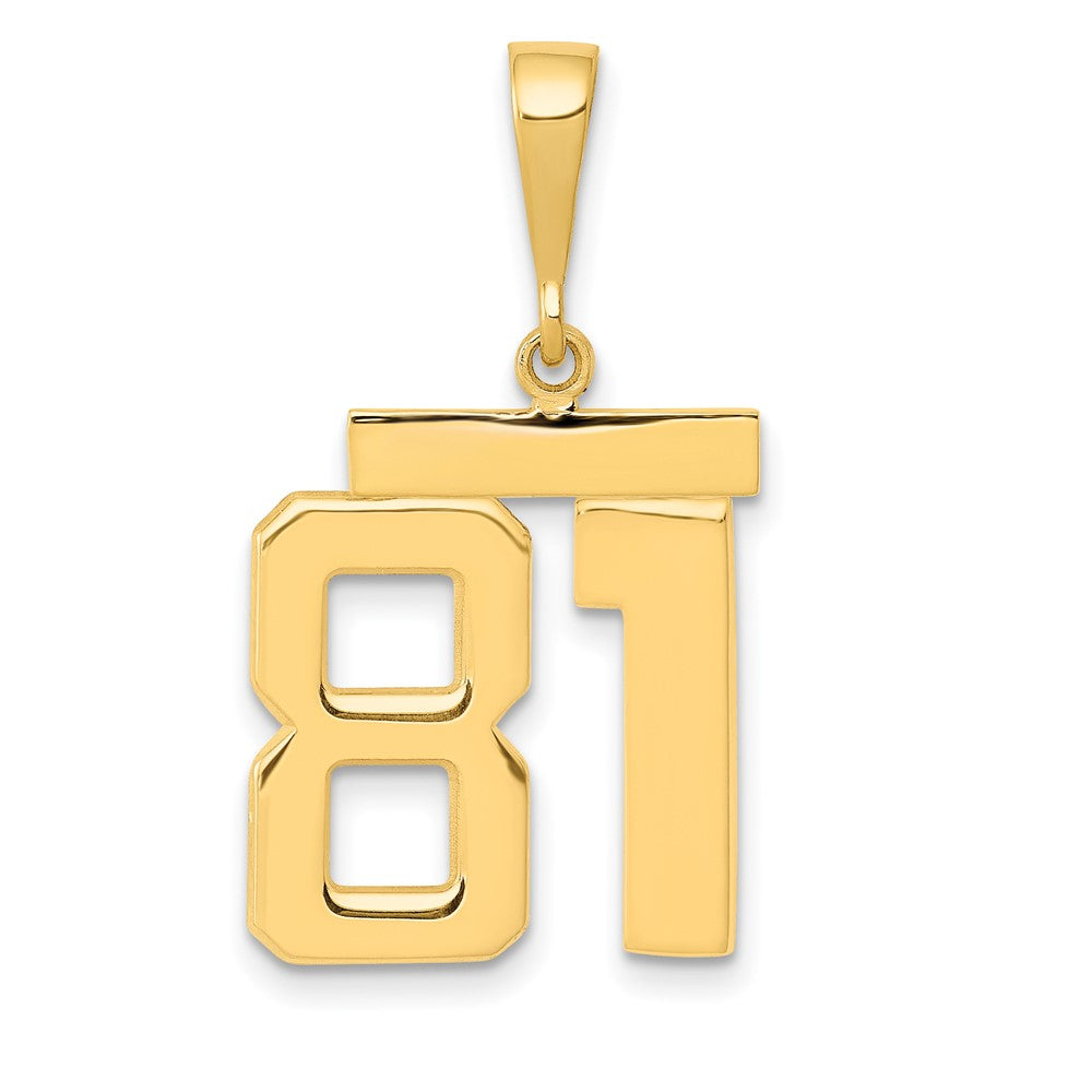 14k Medium Polished Number 81 Charm