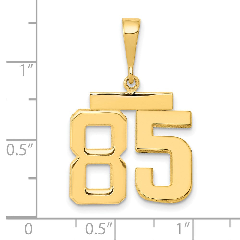 14k Medium Polished Number 85 Charm