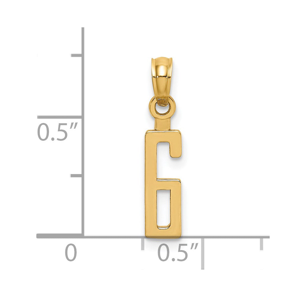14k Polished Number 6 Pendant