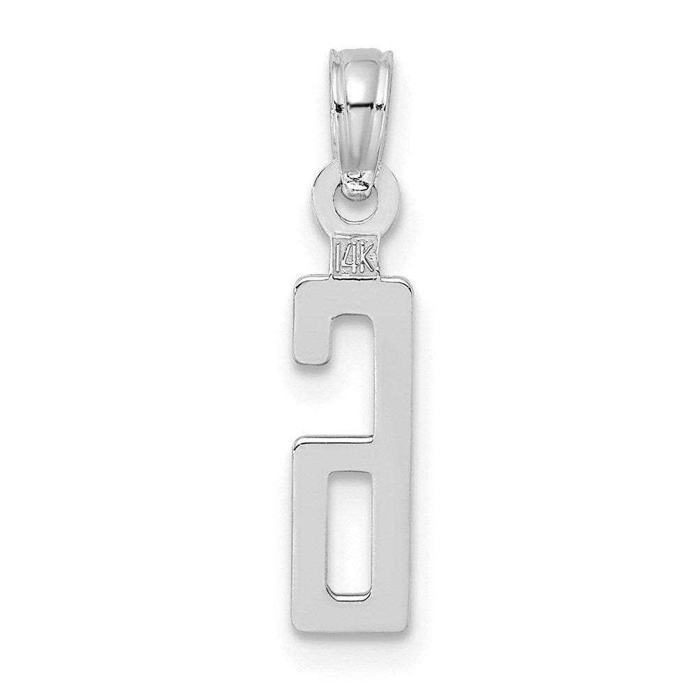 14kw Polished Number 6 Pendant