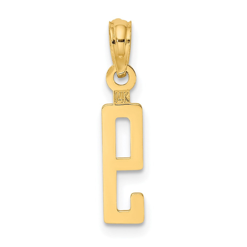 14k Polished Number 9 Pendant