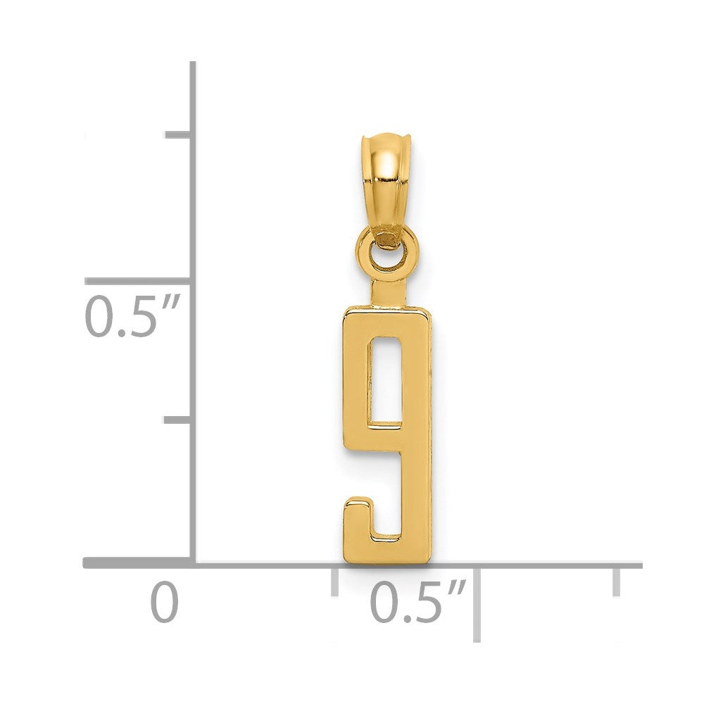 14k Polished Number 9 Pendant