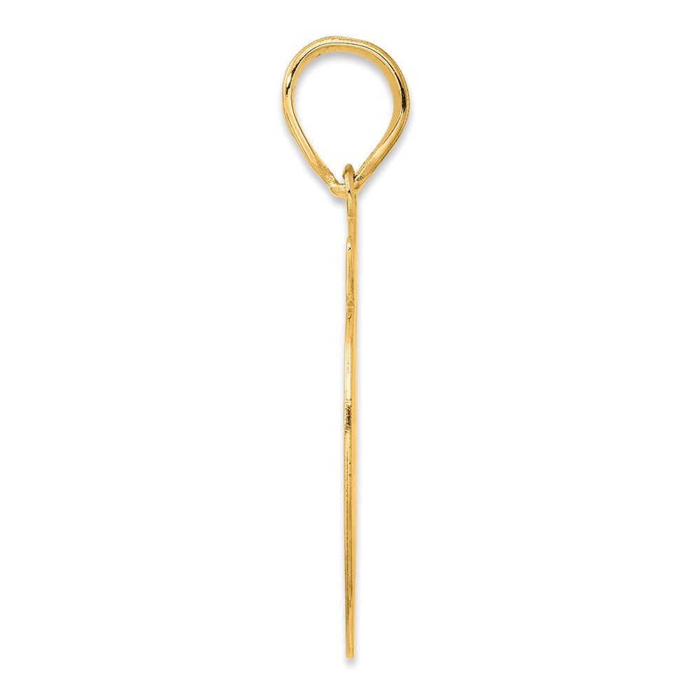 14k Brushed Border Script Number 39 Pendant