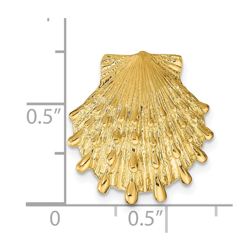 14k Lion's Paw Shell Slide