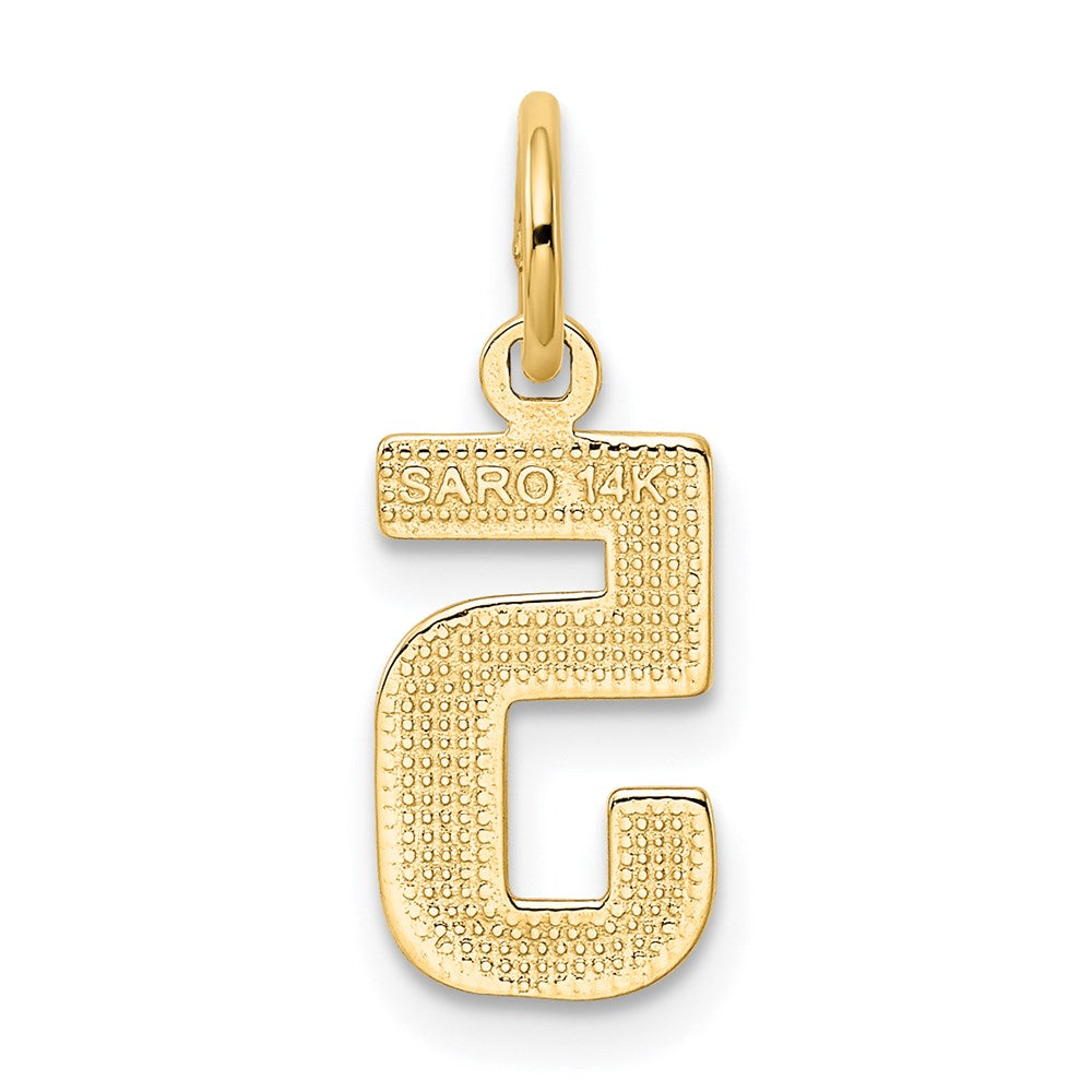14k Small Polished Number 5 Charm